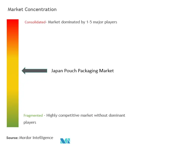 Japan Pouch Packaging Market Concentration