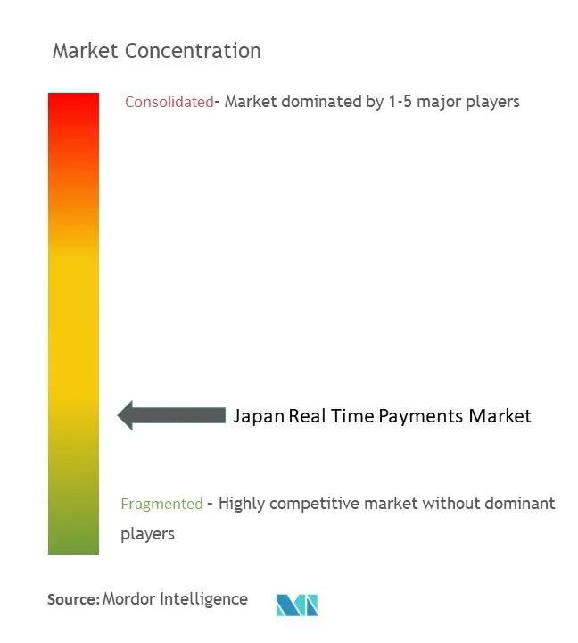 Japan Real Time Payment Market Concentration