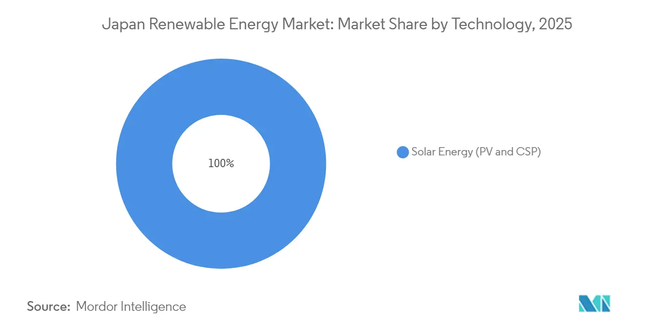 Japan Renewable Energy Market: Market Share by Technology, 2025