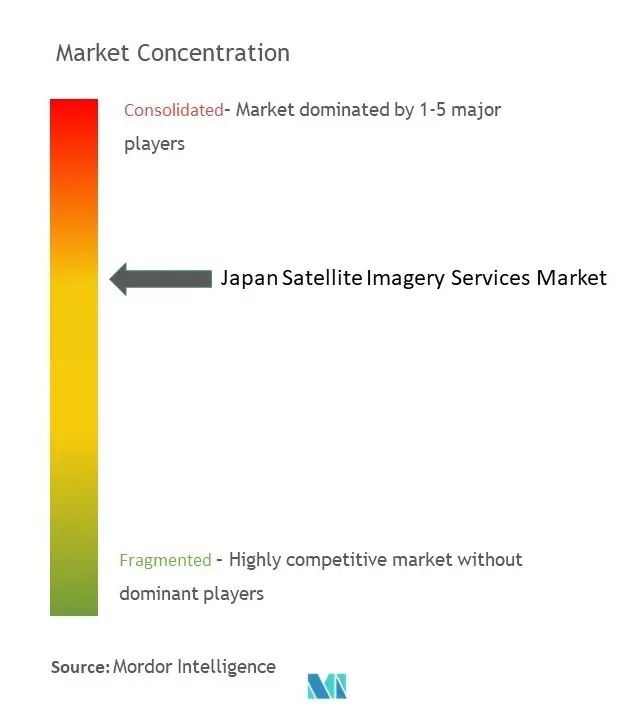 日本の衛星画像サービス市場の集中度