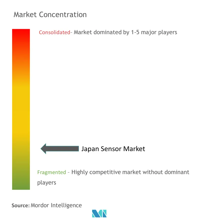 Japan Sensor Market Concentration