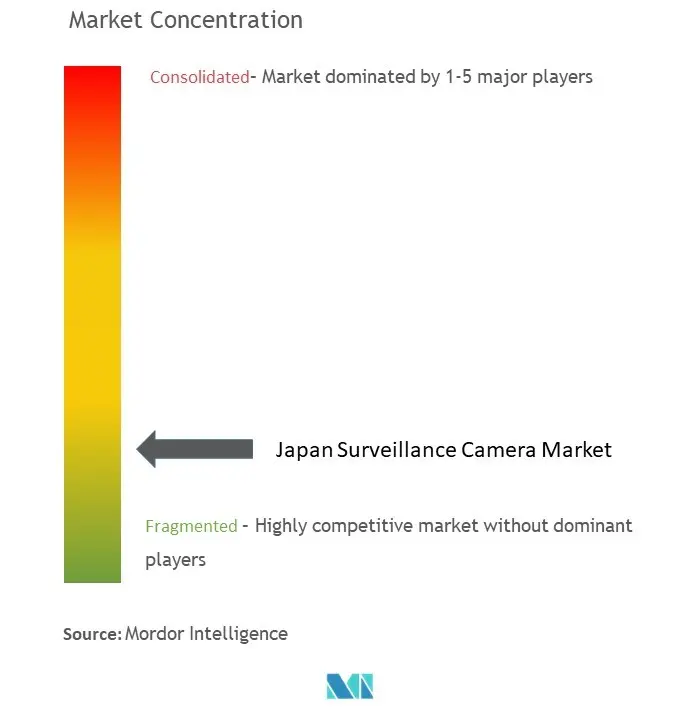 Japan Surveillance Camera Market Concentration