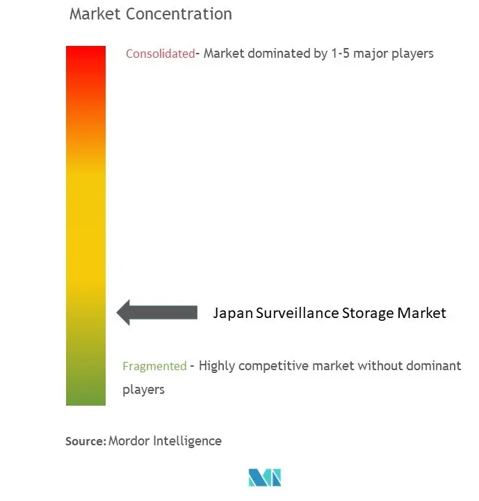 Japan Surveillance Storage Market Concentration