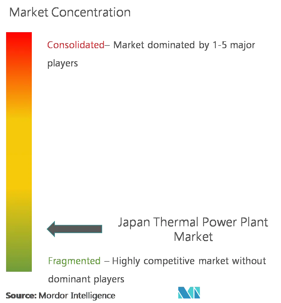 Planta de energía térmica de JapónConcentración del Mercado