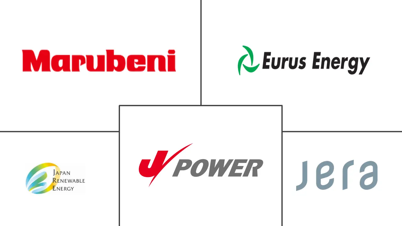 일본 바카라사이트 승리바카라 소울카지노 에너지 산업의 주요 참여자
