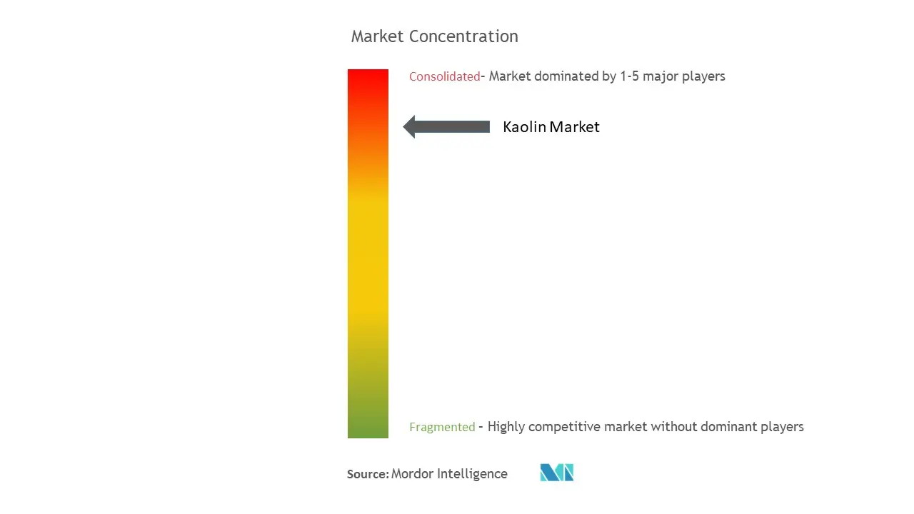Kaolin Market Concentration