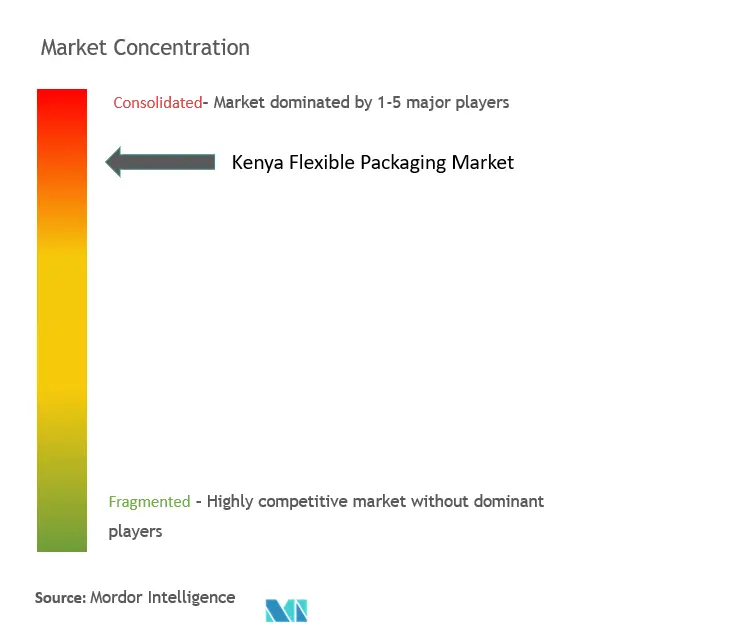 Kenya Flexible Packaging Market Concentration