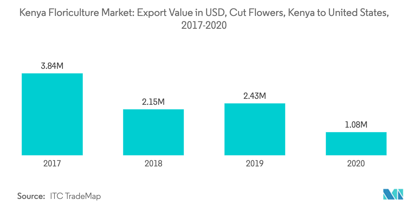 Kenya cut flower export