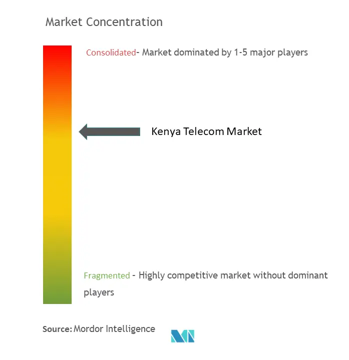 Kenya Telecom Market Concentration