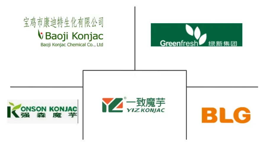Major players in Konjac Flour industry