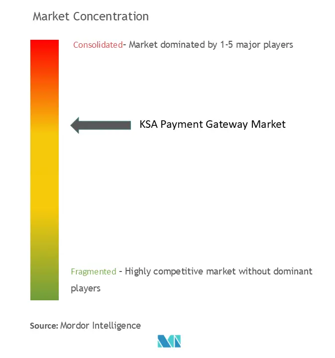 KSA Payment Gateway Market Concentration