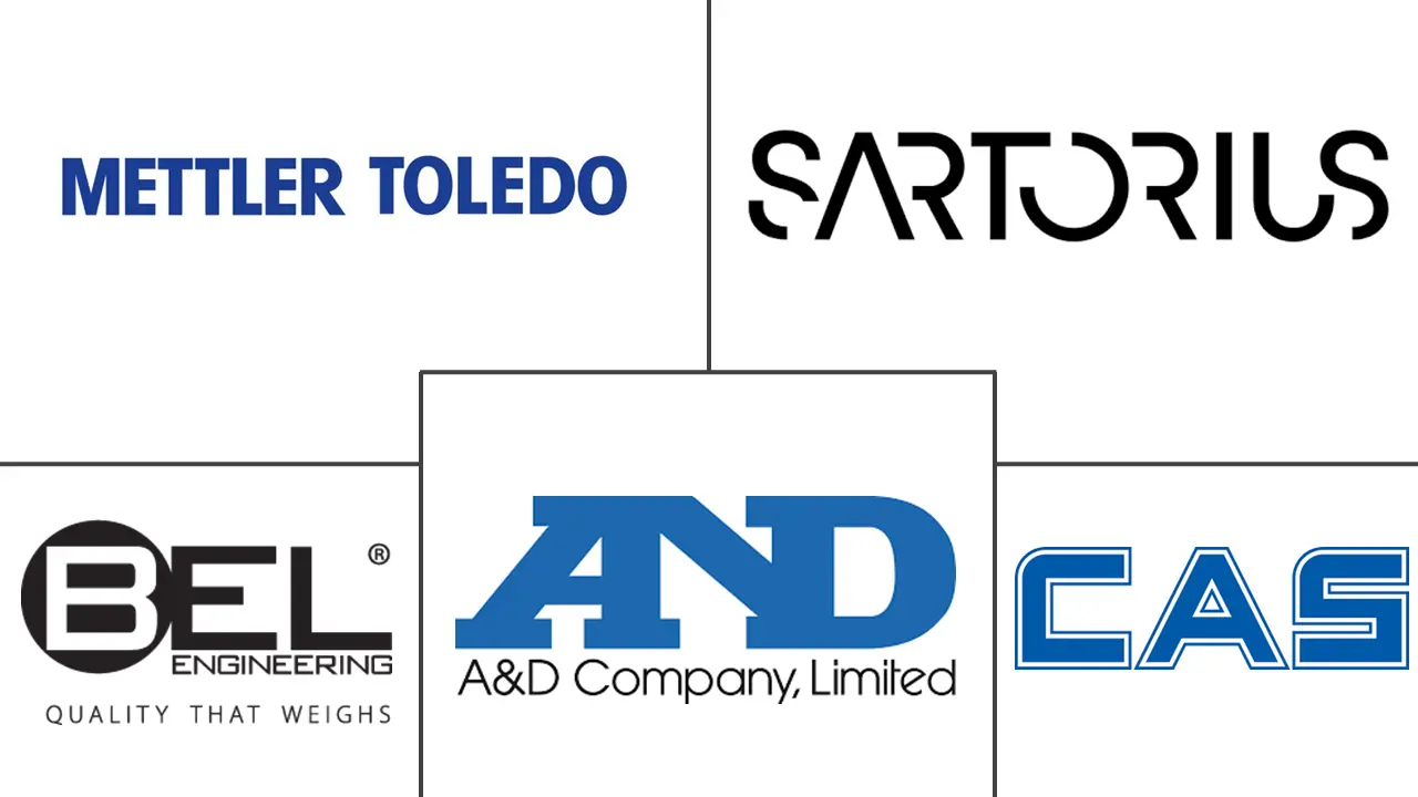 Laboratory Electronic Balance Market Major Players