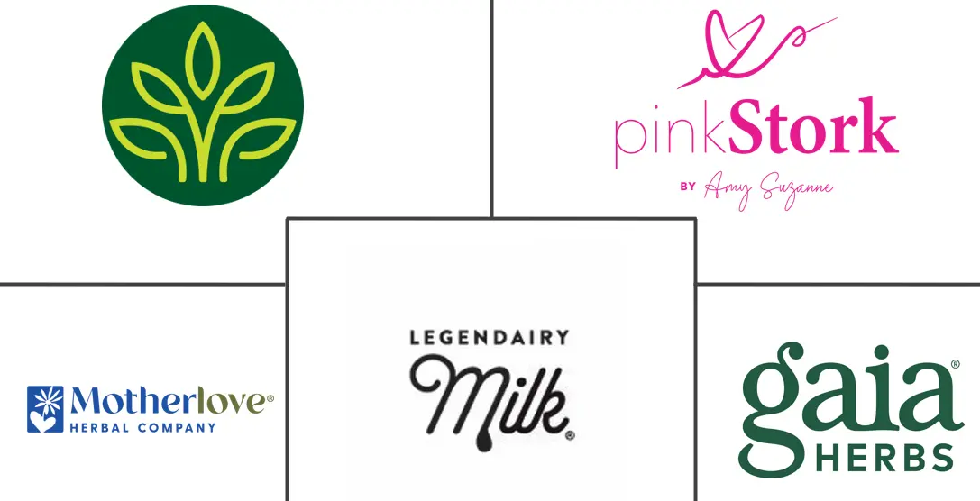 Major players in Lactation Support Supplements industry