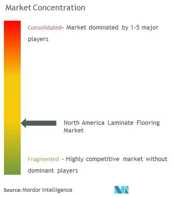 Concentración del mercado de pisos laminados de América del Norte
