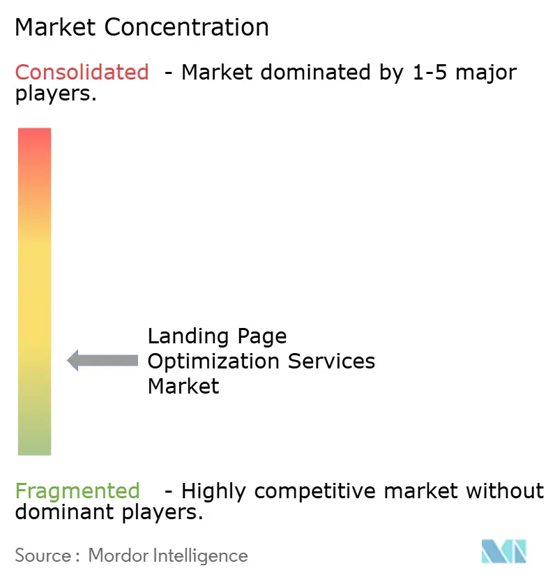 Landing Page Optimization Services Market Concentration