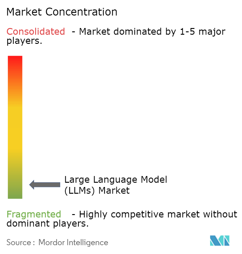 Large Language Model (LLMs) Market Concentration