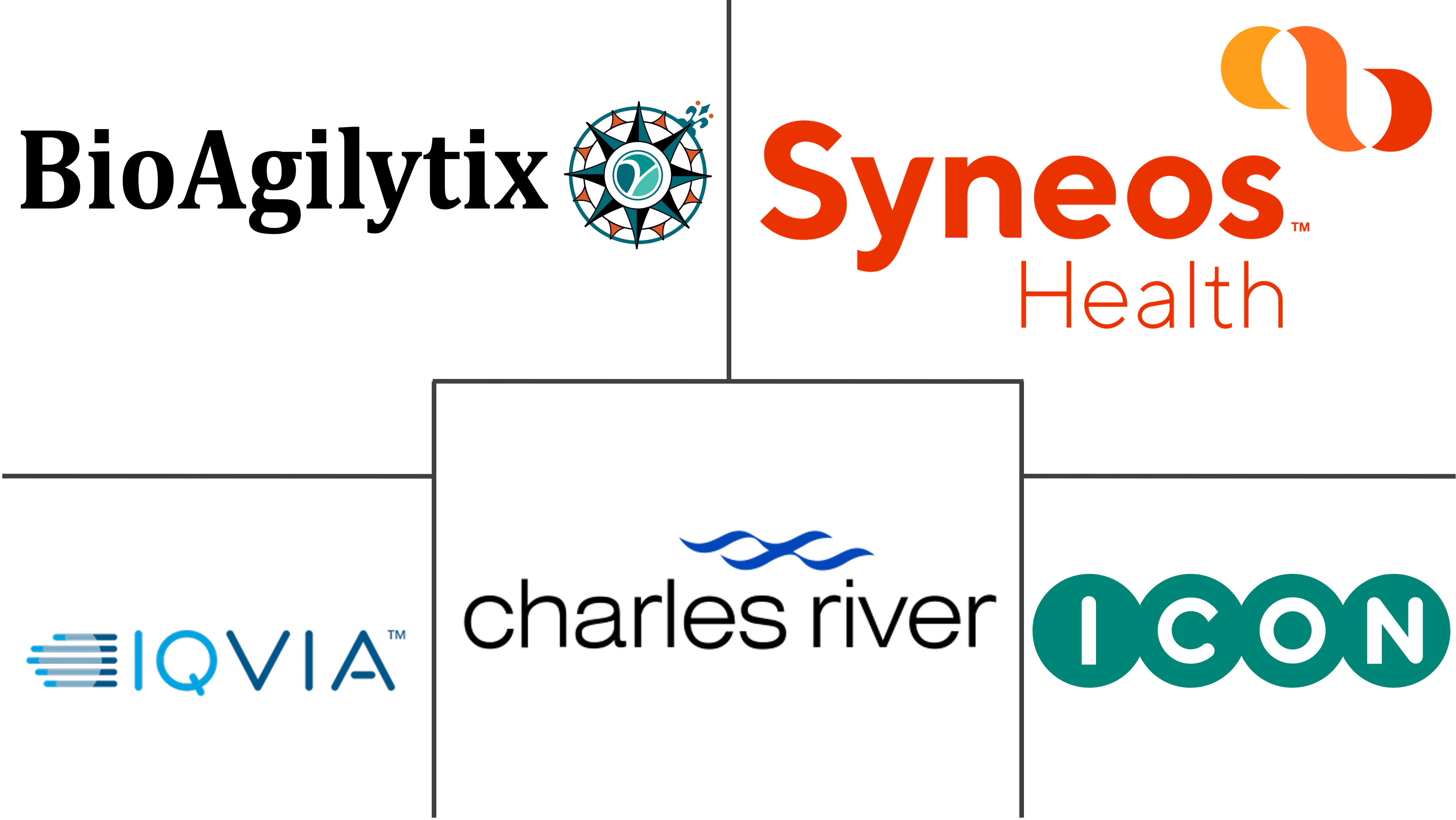 Large Molecule Bioanalytical Testing Services Market Major Players