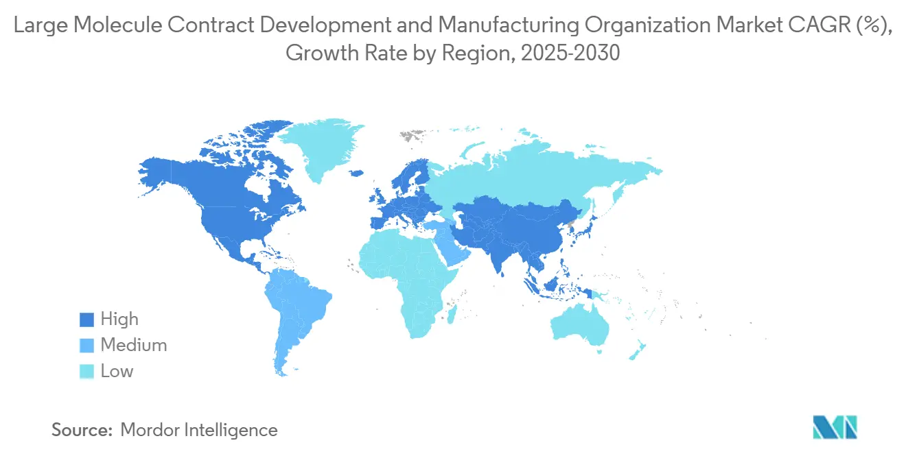 Large Molecule Contract Development and Manufacturing Organization Market