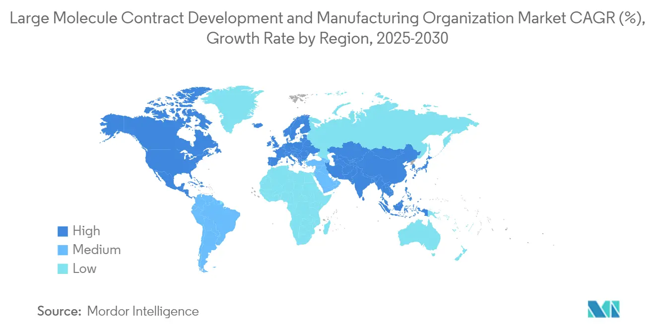 Large Molecule Contract Development and Manufacturing Organization Market 