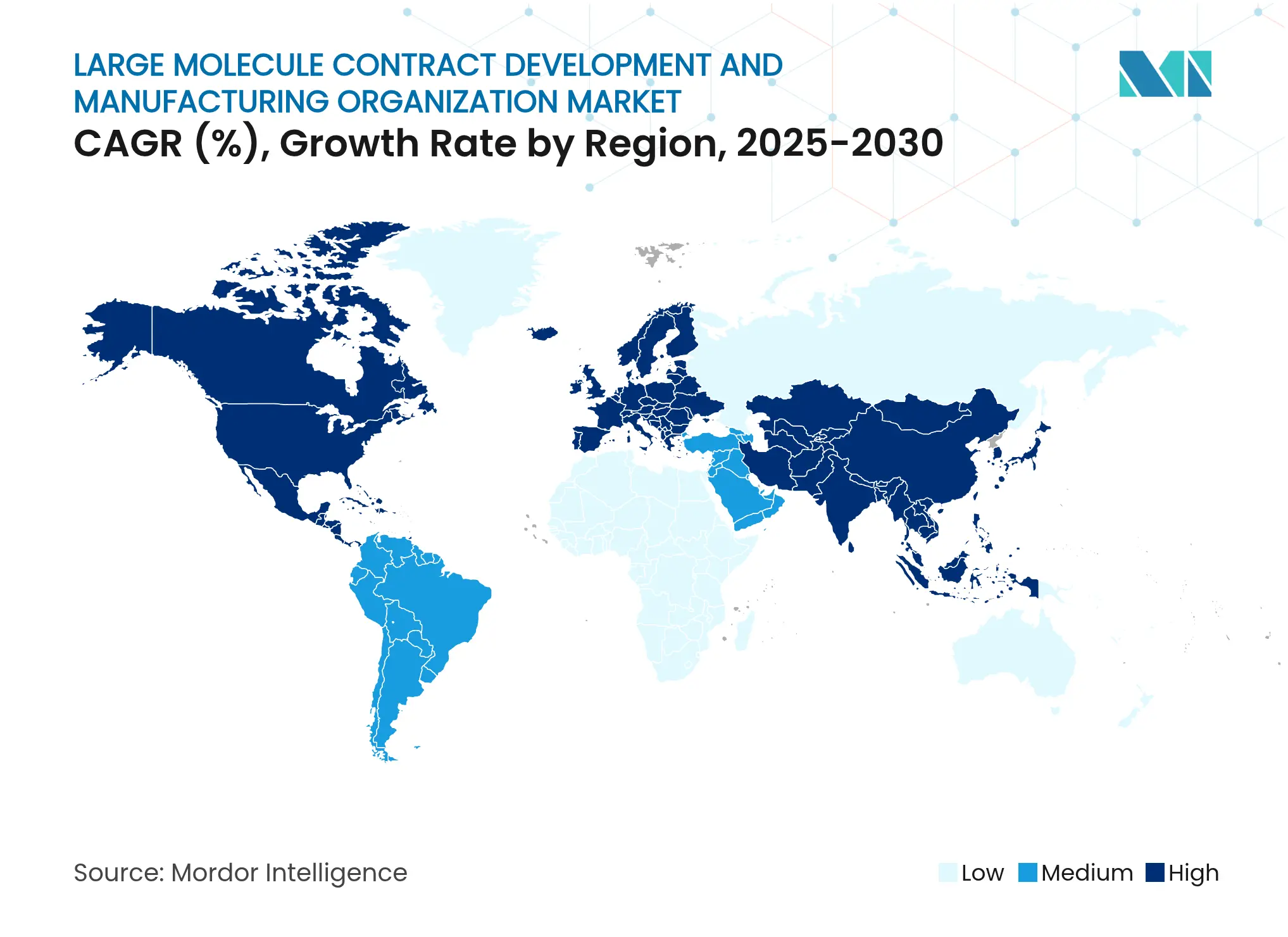대분자 계약 개발 및 제조 조직 시장