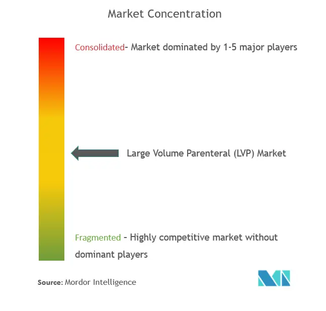 大量非経口投与 (LVP)市場集中度