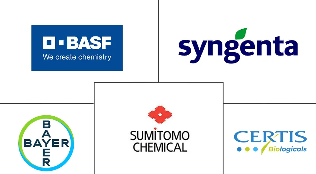 Related Companies Logo