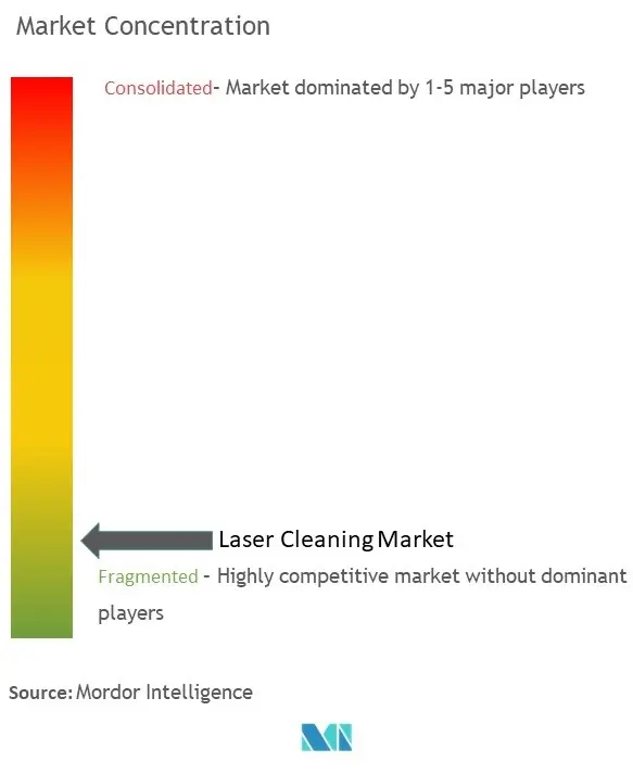 Laser Cleaning Market Concentration