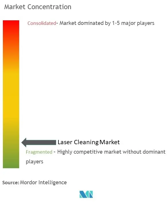 レーザークリーニング市場集中度