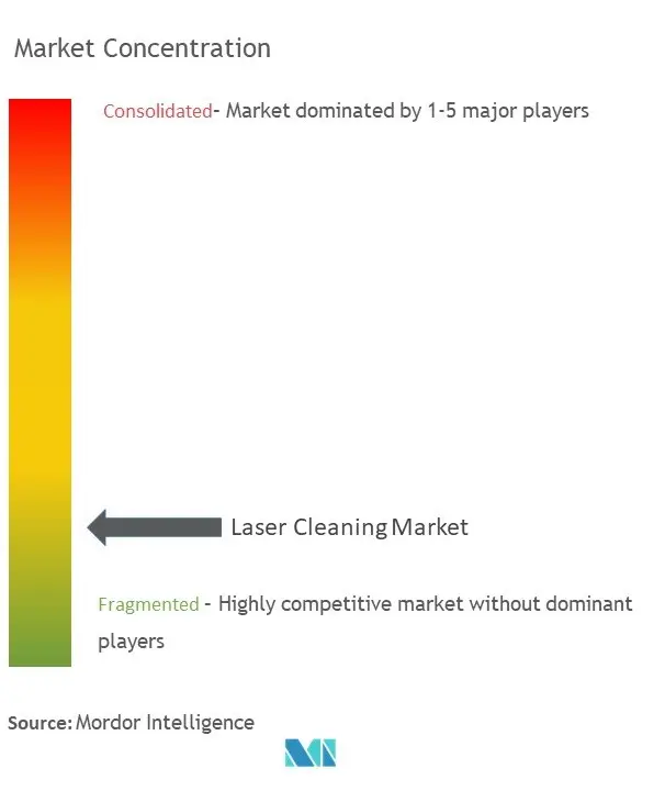 Laser Cleaning Market Concentration