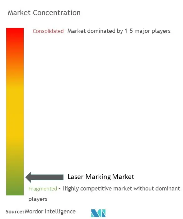 Laser Marking Market Concentration