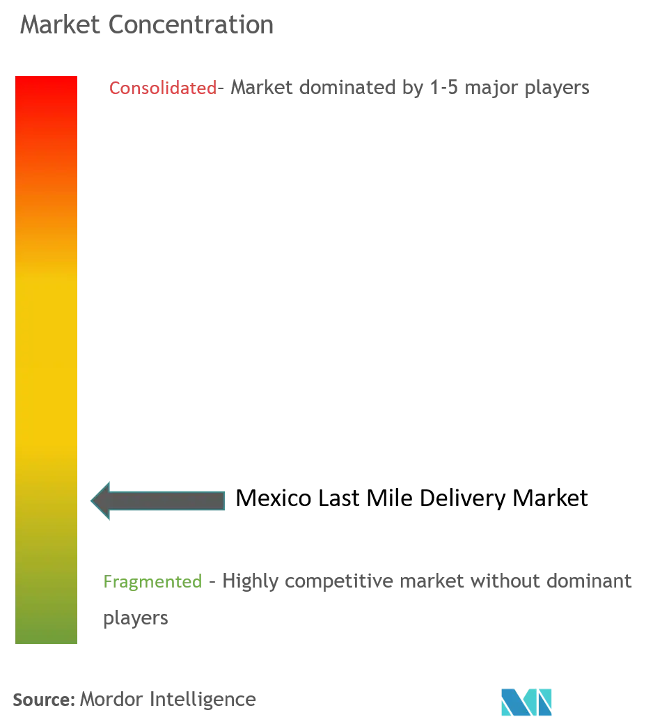 Mexico Last Mile Delivery Market  Concentration