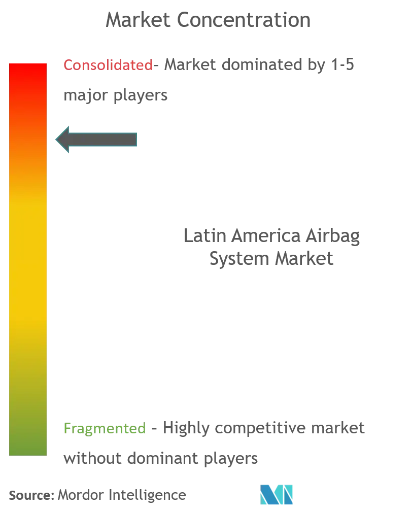 Latin America Airbag Systems Market Concentration