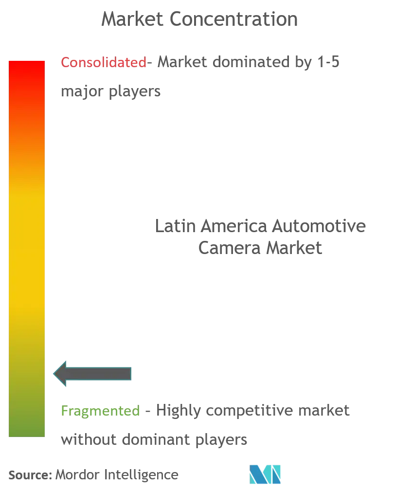 Latin America Automotive Camera Market Concentration