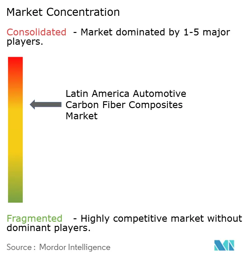 Reichhold, Toray, Owens Corning, Teijin, Huntsman, MRC, Zoltek, Azko Nobel, 3M., Mitsubishi Rayon, Formosa Plastics