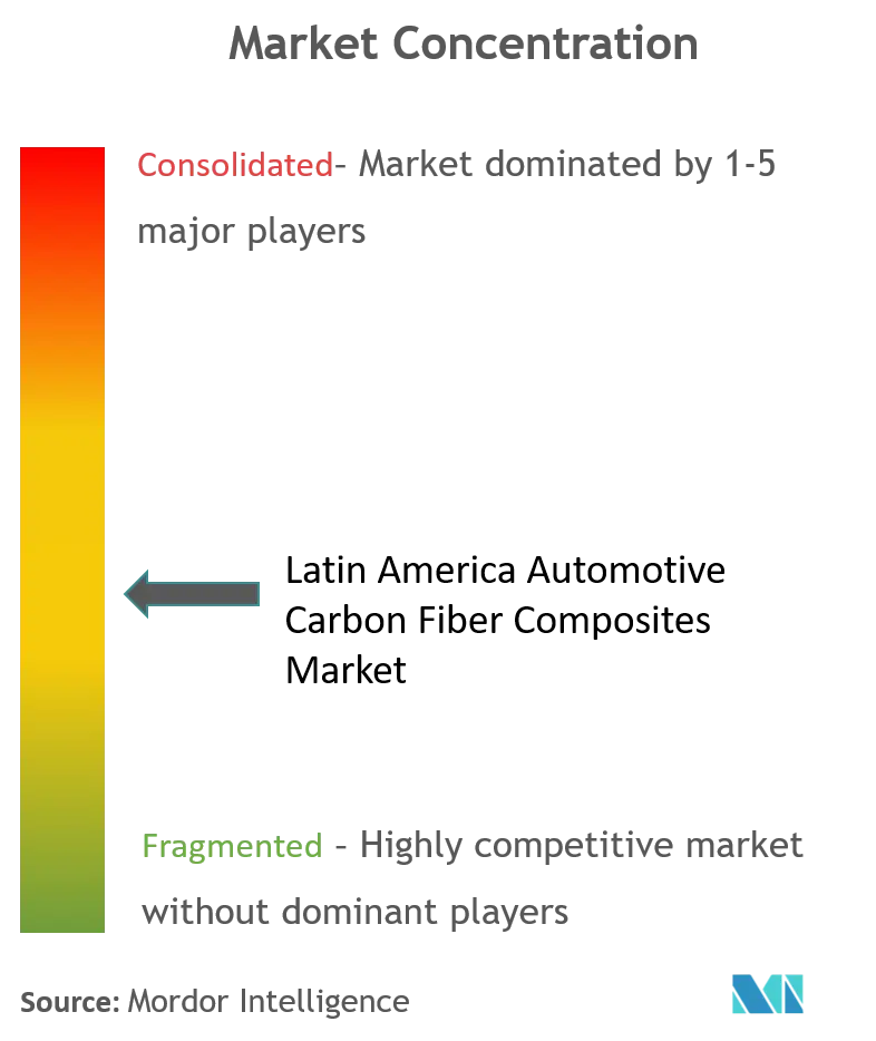 Latin America Automotive Carbon Fiber Composites Market Concentration