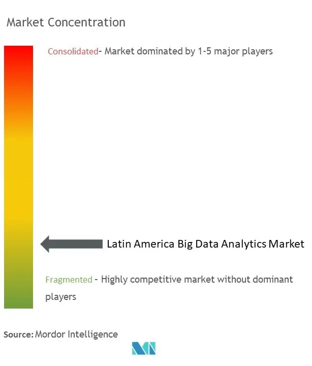 Latin America Big Data Analytics Market Concentration