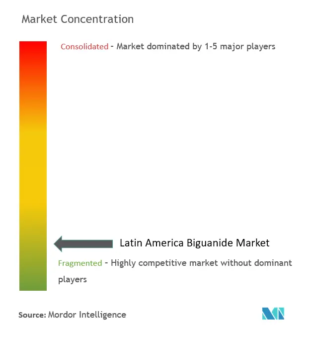 ラテンアメリカのビグアナイド市場濃度