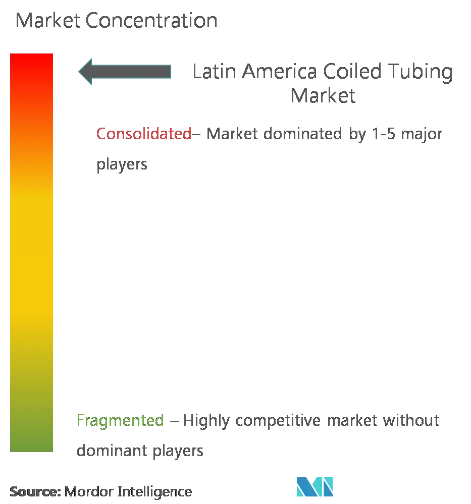 Market Concentration - Latin America Coiled Tubing Market.png