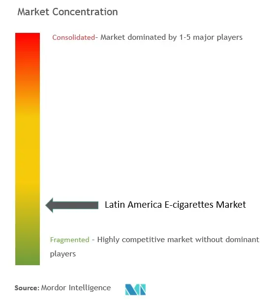 ラテンアメリカの電子タバコ市場集中度