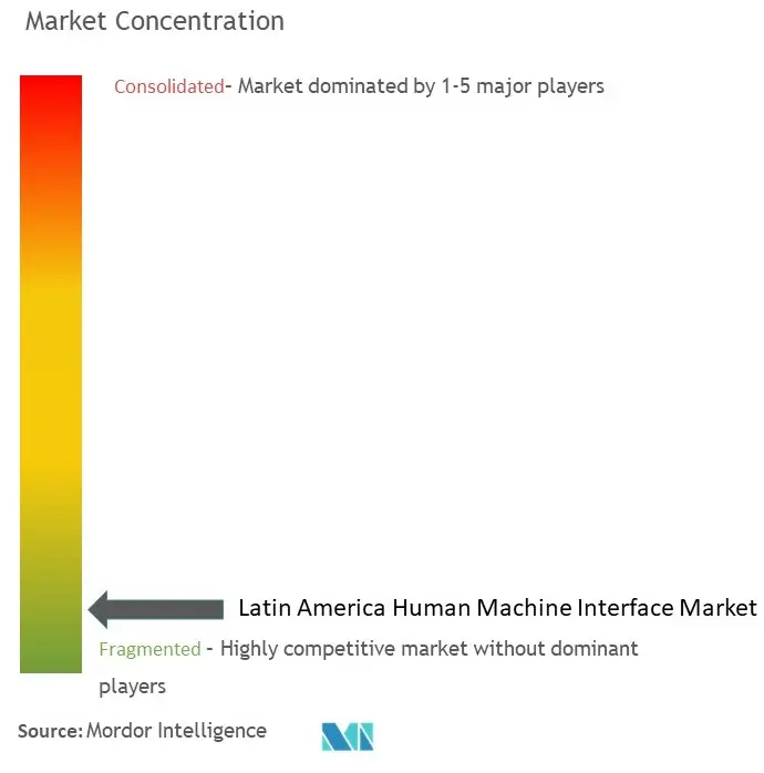 Latin America HMI Market Concentration