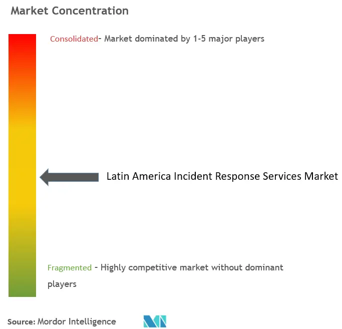 Latin America Incident Response Services Market Concentration