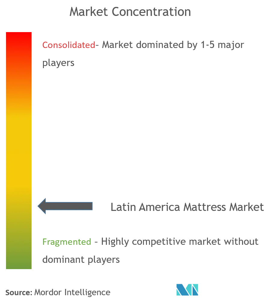 Latin America Mattress Market Concentration