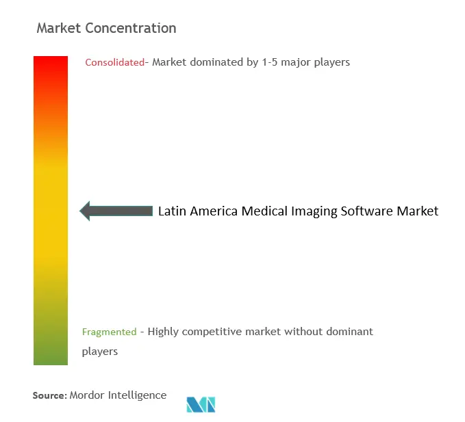 Latin America Medical Imaging Software Market Concentration
