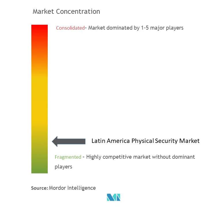 Latin America Physical Security Market Concentration