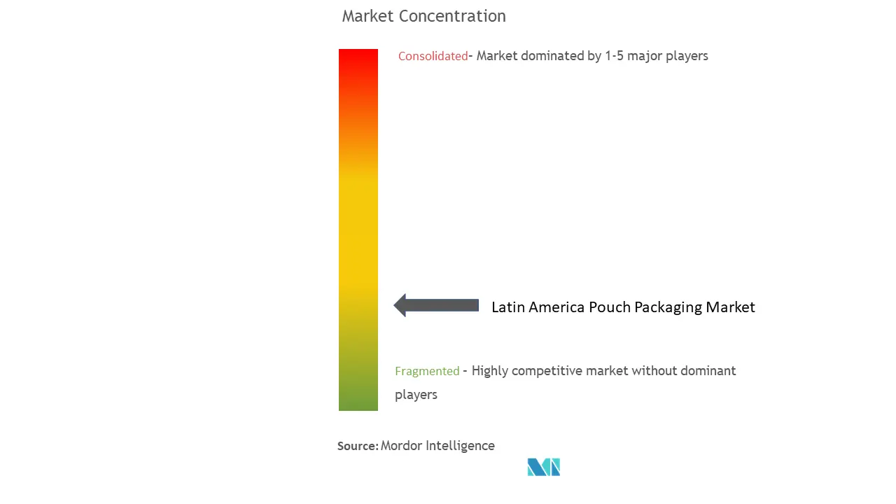 Latin America Pouch Packaging Market Concentration