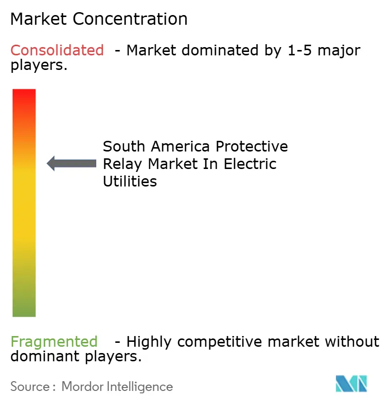  Schweitzer Engineering Laboratories, Inc., General Electric Company​, Eaton Corporation PLC, ABB Ltd,  Schneider Electric SE,  Beckwith Electric Co., Inc.