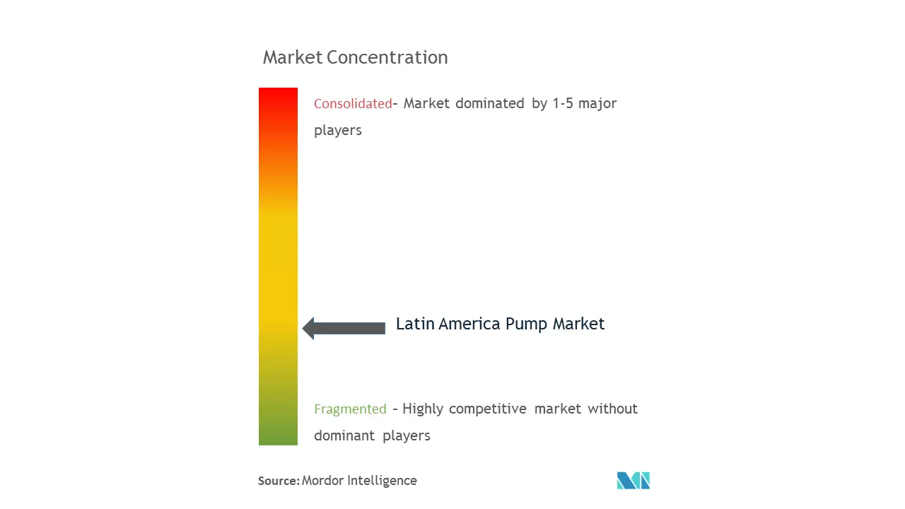 ラテンアメリカのポンプ市場集中度