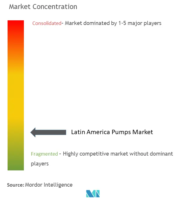 Latin America Pumps Market Concentration