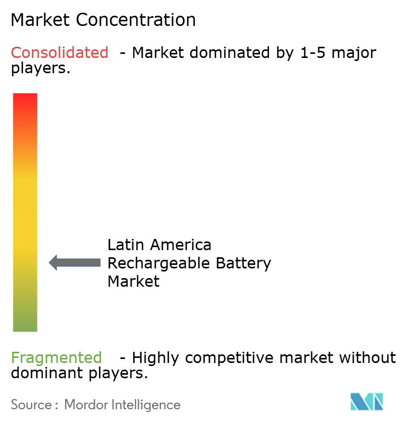 Latin America Rechargeable Battery Market Concentration