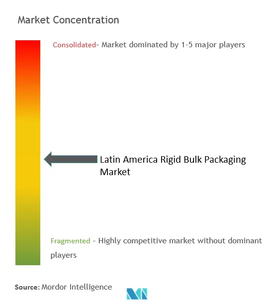 Latin America Rigid Bulk Packaging Market Concentration